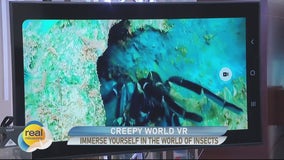 Creepy World VR; new venture from The Bug Whisperer