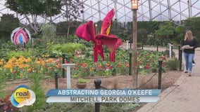 Abstracting Georgia O'Keefe; Mitchell Park Domes spring show