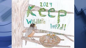2024 Wisconsin 'Keep Wildlife Wild' poster contest winners