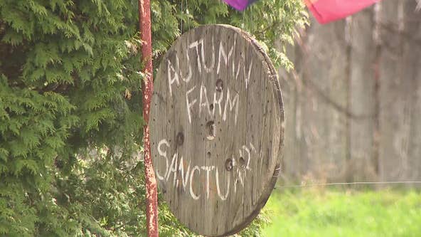 Cedarburg farm sanctuary mistreatment allegations; animals removed