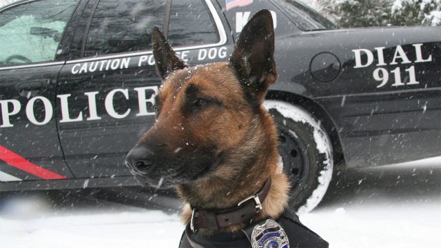 Retired Wauwatosa police dog dies, was department's first K-9