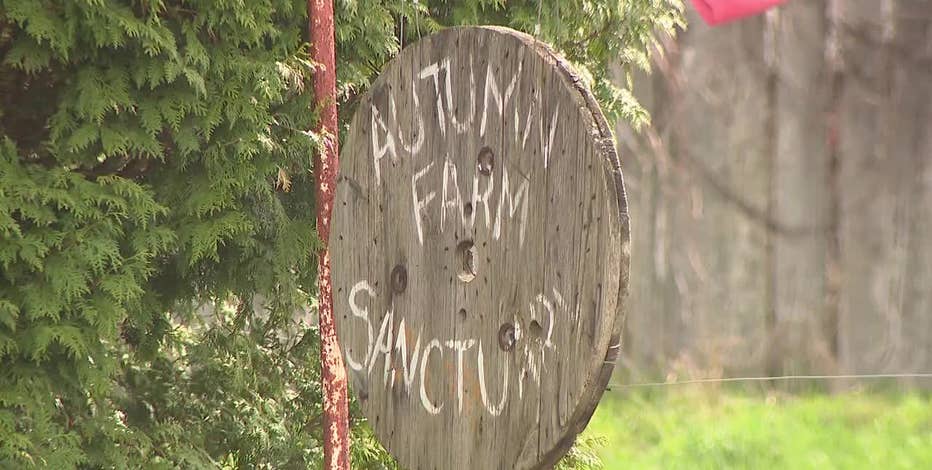 Cedarburg farm sanctuary mistreatment allegations; animals removed