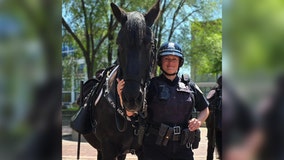 Milwaukee police mounted patrol horse retires, joined unit in 2018