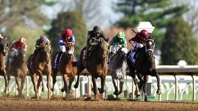 How do Kentucky Derby racehorses get their names?