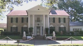 Update on Elvis' former home 'Graceland,' Gino has the scoop