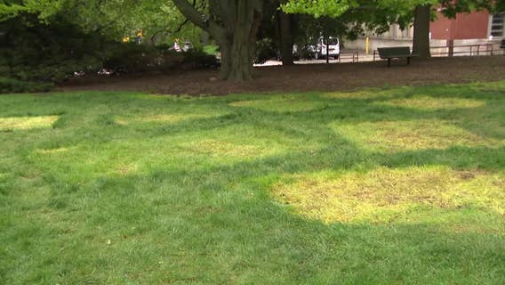 UWM encampment cleared; university, protest leaders meet