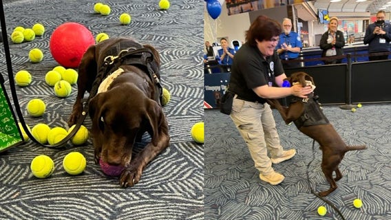 TSA explosives detection canine retires; Mitchell International Airport