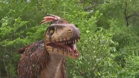 Milwaukee County Zoo; Dinosaur Discovery returns to delight