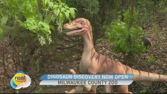 Dinosaur Discovery now open at the Milwaukee County Zoo