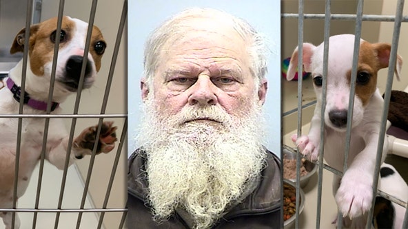 Dogs seized in Washington County, man pleads no contest to mistreatment