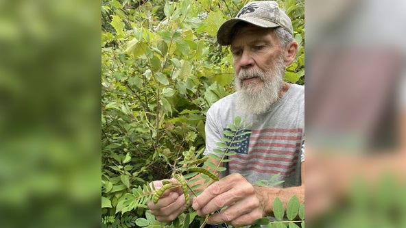 Rare plant found in Wisconsin, 100 years since it was last seen