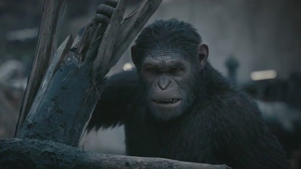 Weekend box office driven by Planet of the Apes
