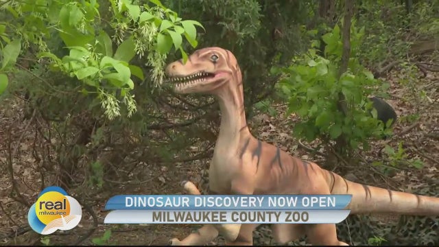 Dinosaur Discovery now open at the Milwaukee County Zoo