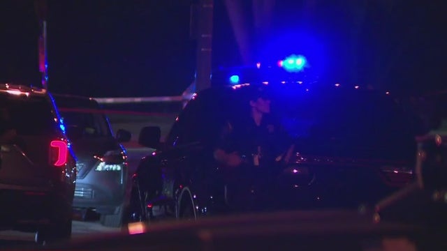 Fight at Sherman Park, 3 arrested; deputy's gun accidentally fired