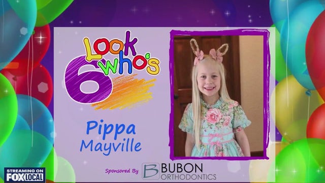 Look who's 6 on May 4, 2024