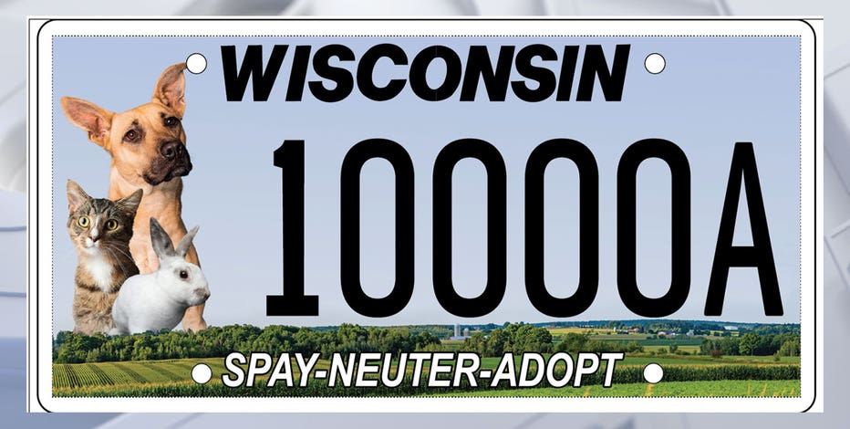 Wisconsin DMV: New special license plates released