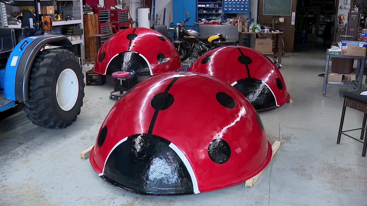 Ladybugs returning to downtown Milwaukee building with some TLC | FOX6 ...