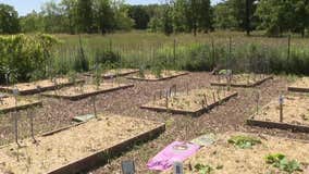 Waukesha County community garden addresses need, organizers say