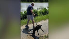 Elm Grove dog attacks, police investigate 3 in 1 week