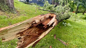 Walworth County storm damage; 'It got so dark so fast'