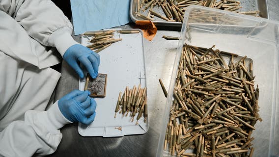 $85K to smoke weed and roll blunts? One Bay Area company is hiring