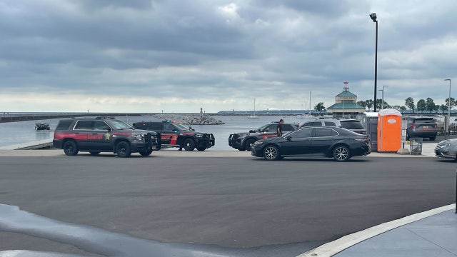 Body found in Lake Michigan at McKinley Park Government Pier