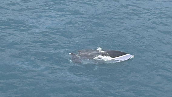 Boat overturns on Lake Michigan; 1 rescued, 2 dead