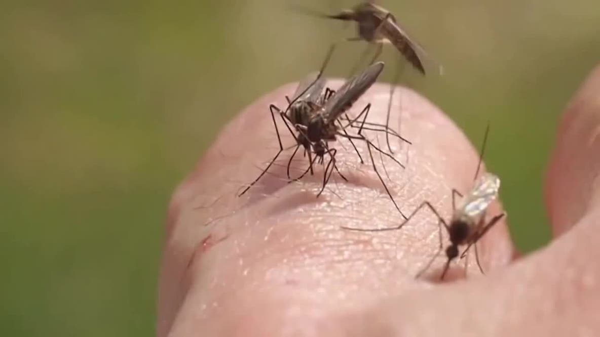 West Nile virus: Wisconsin DHS confirms 1st signs of year