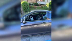 Vehicle stolen, windows smashed in Riverwest