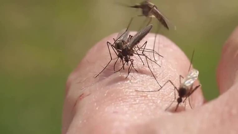 West Nile virus in Wisconsin; 1st human case of 2025 recognized