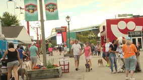 Fromm Petfest at Milwaukee's lakefront, event held for 11th year