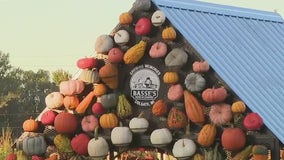 Celebrate fall at Basse's Farms Pumpkin Fest in Colgate