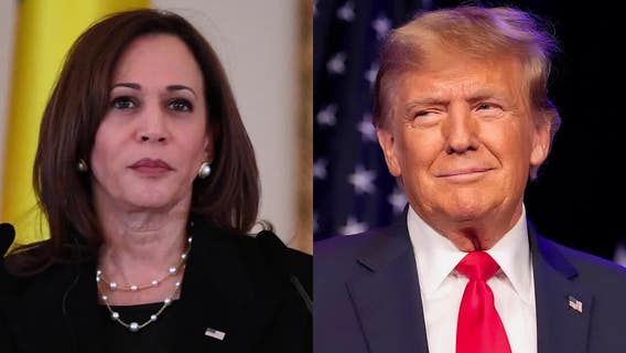 Marquette poll: Presidential race tight, enthusiasm for voting high