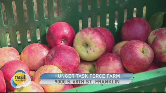 Hunger Task Force Farm; Providing fresh produce to the community