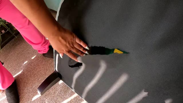 Rat damage in storage unit; what to know before renting