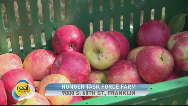 Hunger Task Force Farm; Providing fresh produce to the community