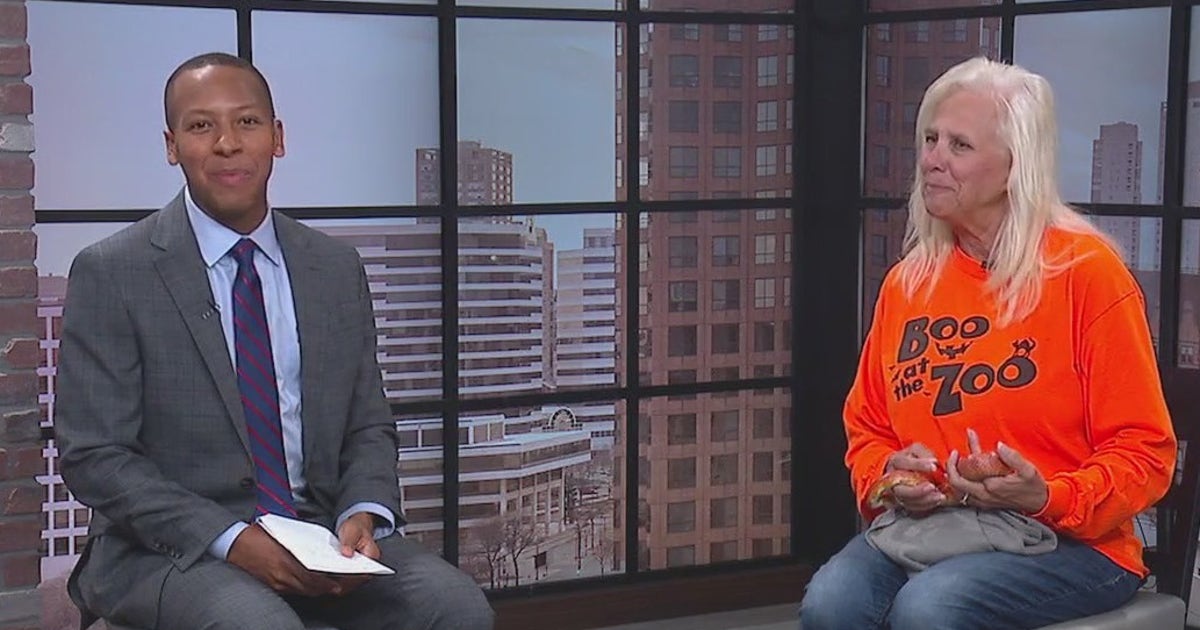 Tom Ruffalo Racine Racine Zoo gets in the spooky spirit, plenty of October events | FOX6 ...