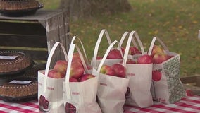 Downtown Thiensville Village Market ends for season next week