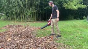 Tools for fall yard clean-up