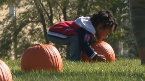 'Pumpkin Palooza:' Milwaukee kids, families enjoy 4th annual event