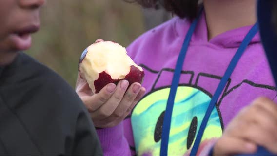 Milwaukee students learn about nutrition, healthy food at farm