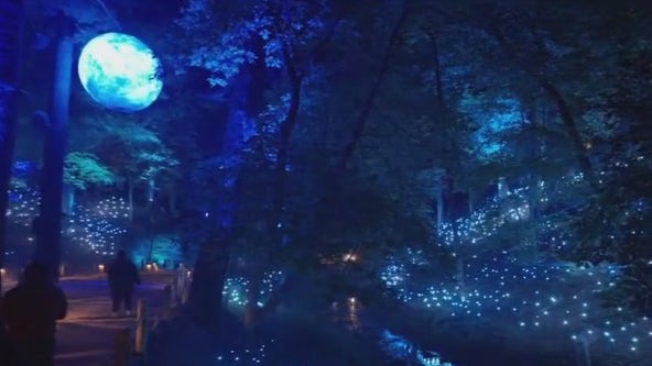 Wilderness Resort new attraction: Aquavia Lumina Night Walk