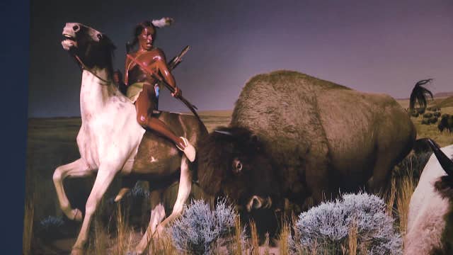 Exhibit explores Milwaukee Public Museum's past, present, future