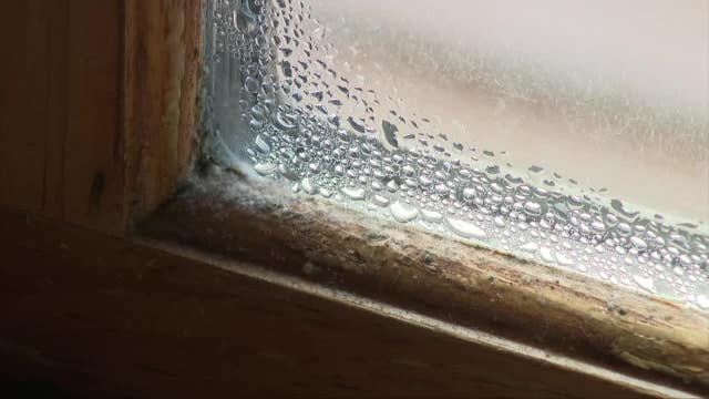 Window Select customer waiting amid second company’s closure