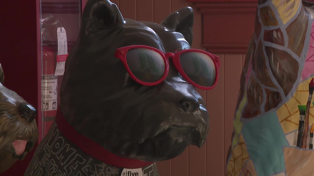 Toto takeover project in Oconomowoc embraces 'The Wizard of Oz