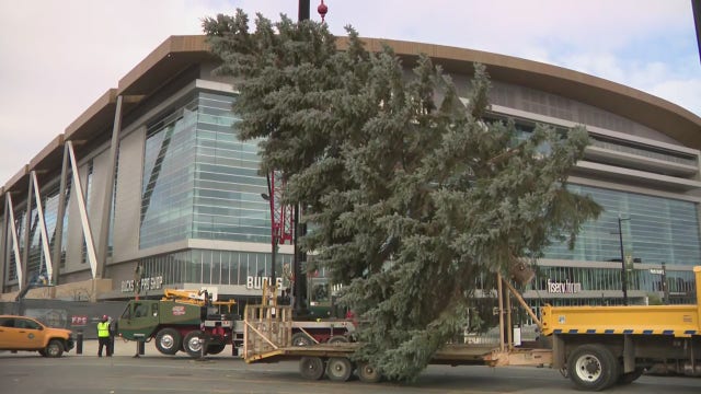 2024 City of Milwaukee Christmas tree harvested Tuesday