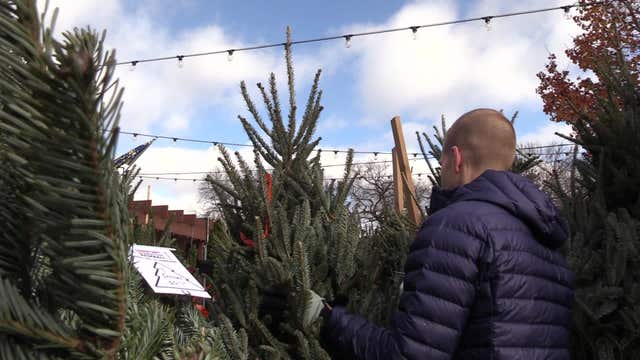 Wauwatosa annual Christmas tree fundraiser; baseball teams join forces