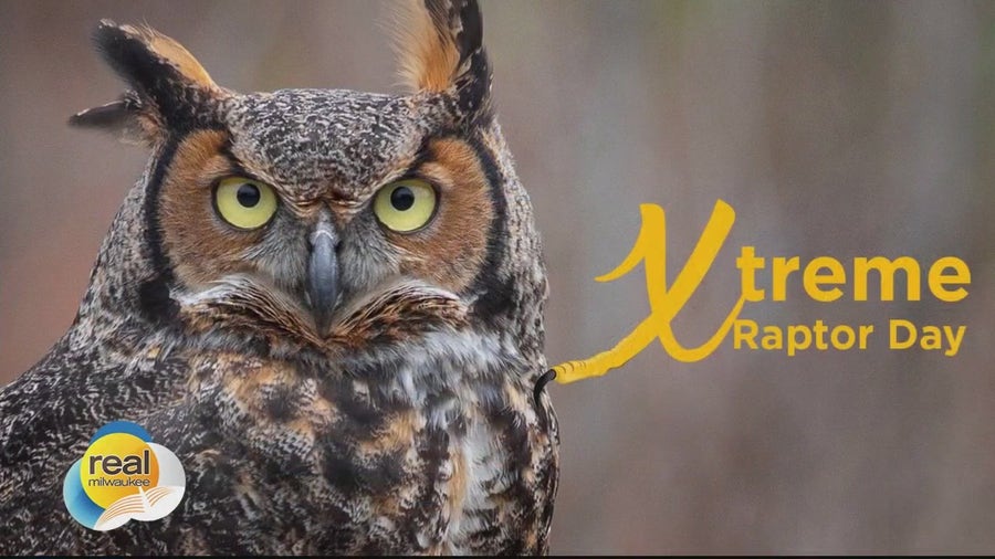 Xtreme Raptor Day at Schlitz Audubon Nature Center