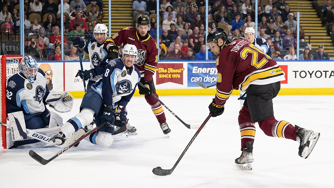 Milwaukee Admirals beat Wolves, Murray shines in goal Milwaukee Admirals beat Wolves, Murray shines in goal