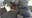 Lake Geneva house fire, police help rescue person trapped: video
